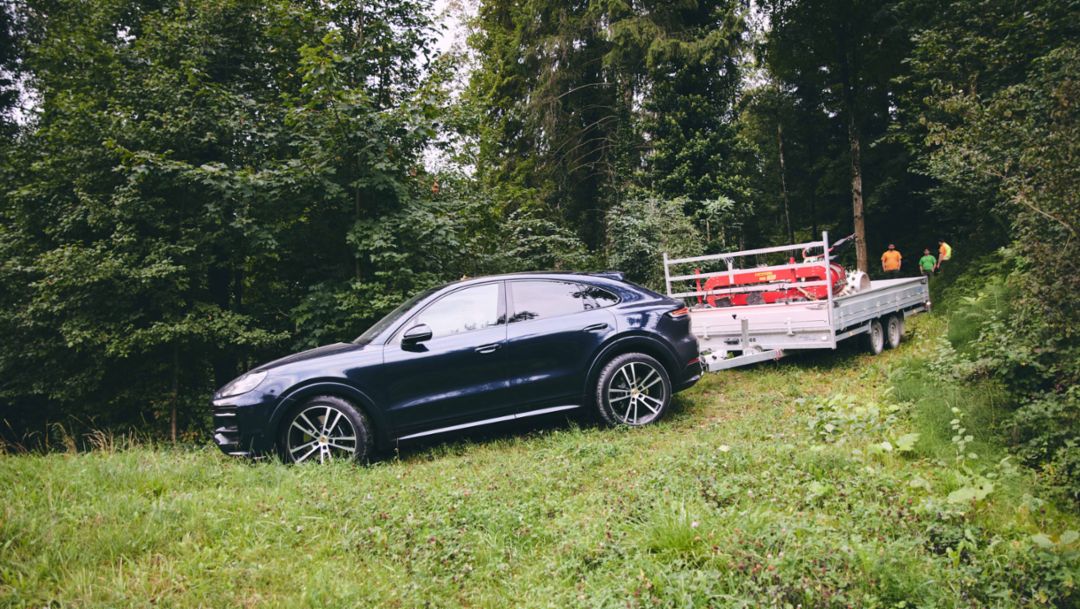 Forestale in ghingheri